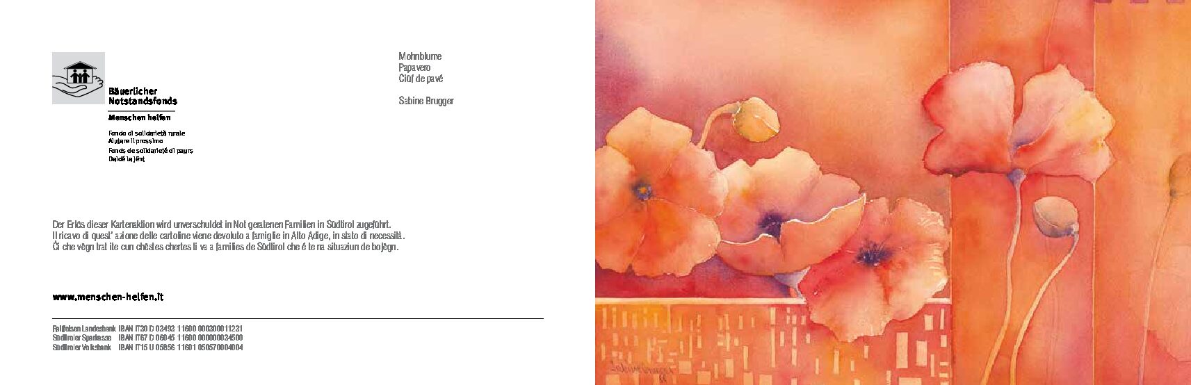 Alternative view of Mohnblumen, Sabine Brugger