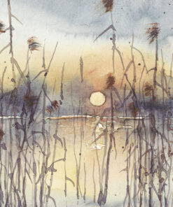 Sonnenuntergang, Elfi Gelf