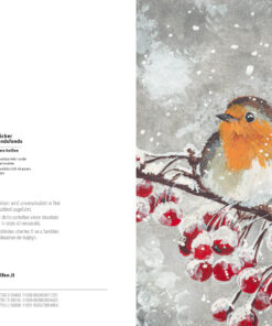 Alternative view of Rotkehlchen im Schnee, Edith Pixner