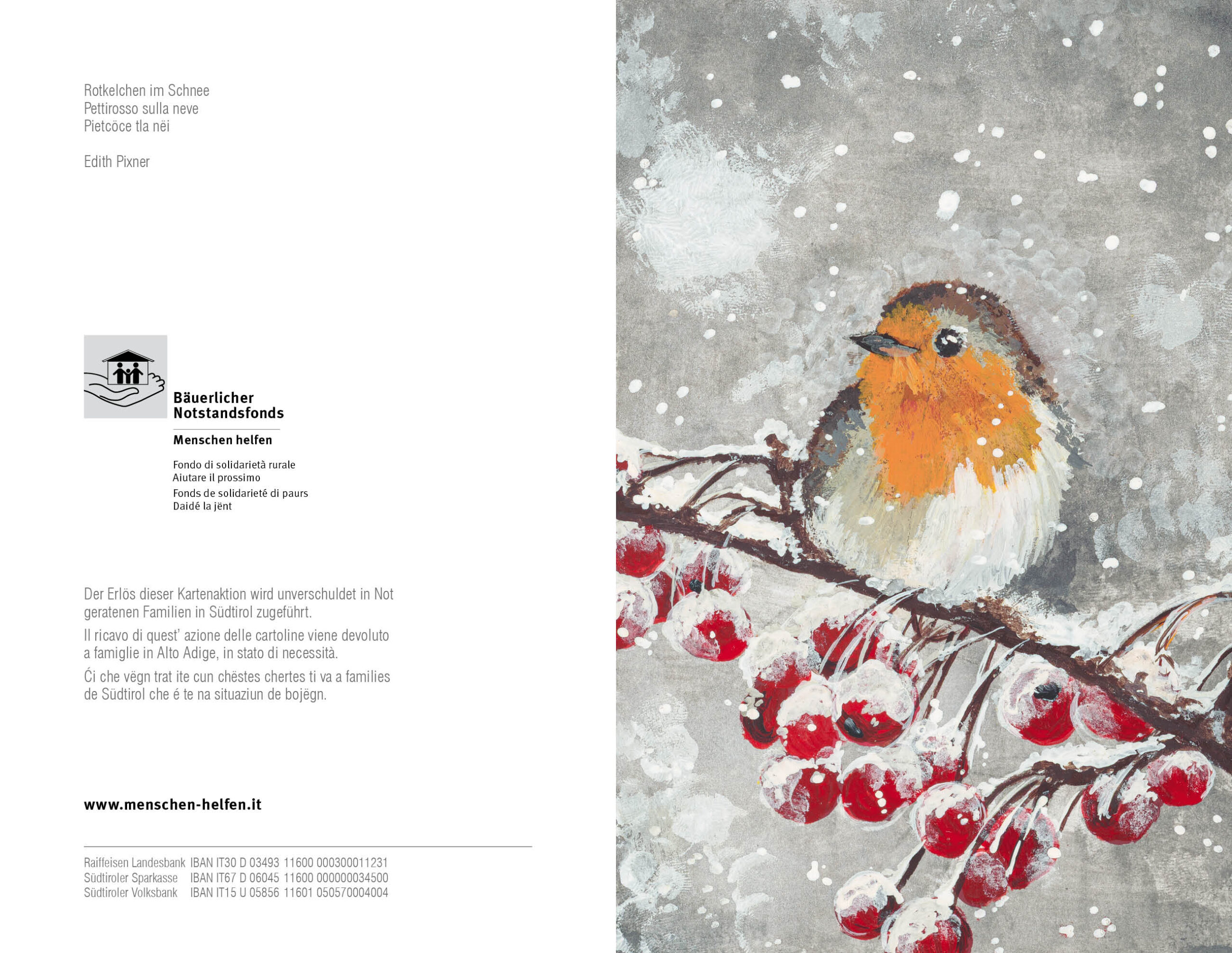Rotkehlchen im Schnee, Edith Pixner – Bild 2