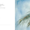 Zirbenzapfen, Irmhild Hohenegger - Thumbnail Image 2